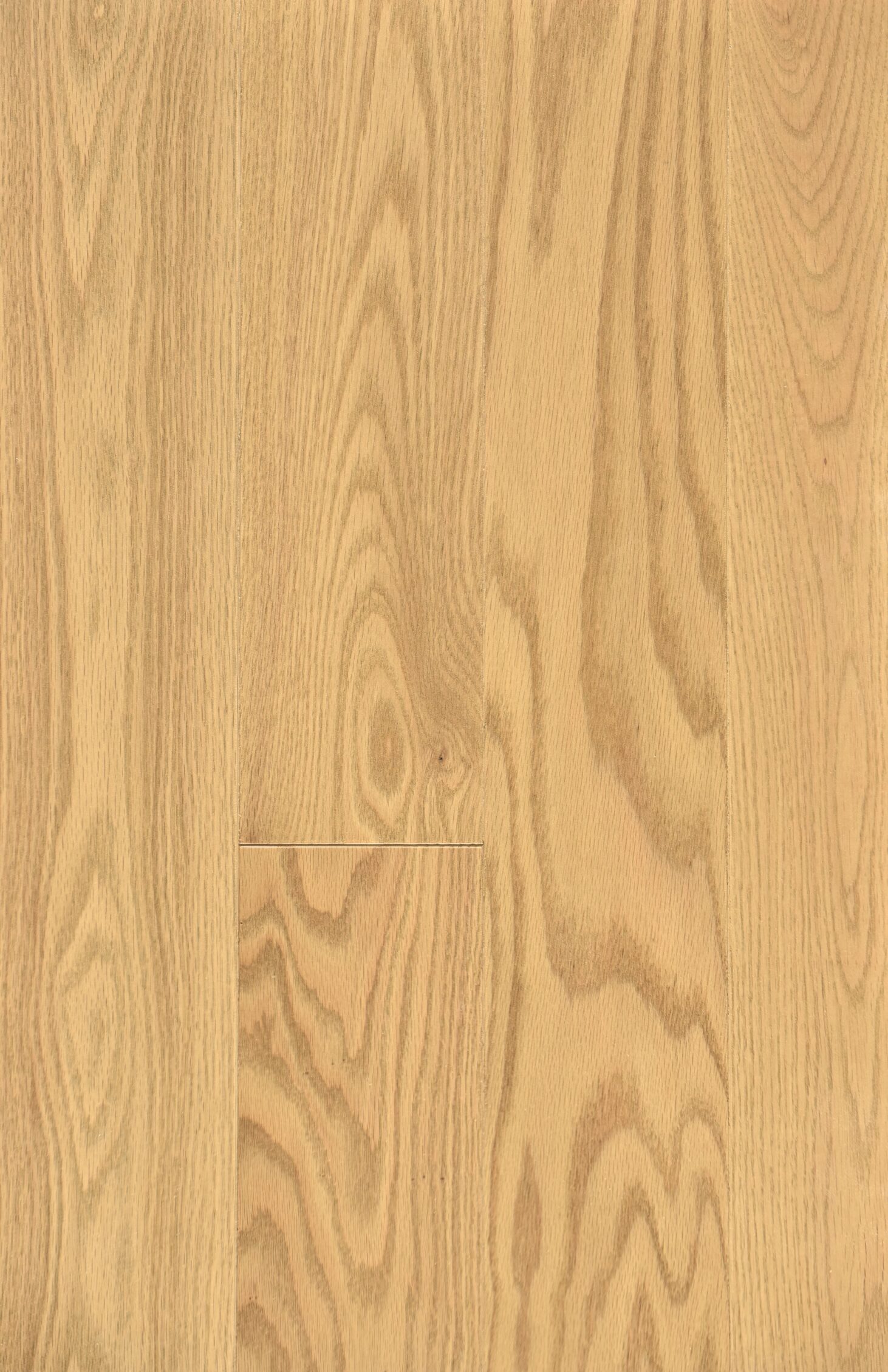 Oak-Dune-Premier-Smooth-Matte-Designer-scaled